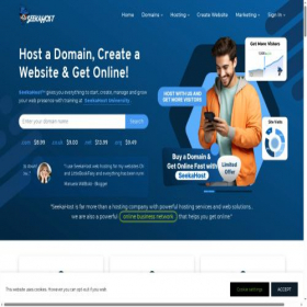 Скриншот главной страницы сайта seekahost.com