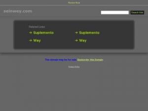 Скриншот главной страницы сайта seinwey.com