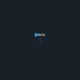 Скриншот главной страницы сайта selector201.gg