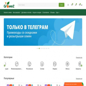 Скриншот главной страницы сайта sell.groowerz.sbs