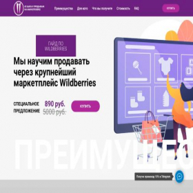 Скриншот главной страницы сайта seller-wildberries.ru