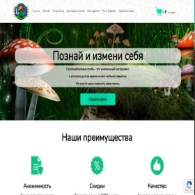 Скриншот главной страницы сайта sellergribov.ru