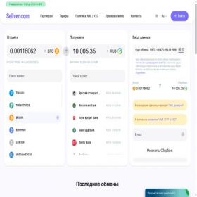 Скриншот главной страницы сайта sellver.com