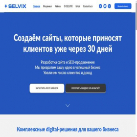 Скриншот главной страницы сайта selvix.ru