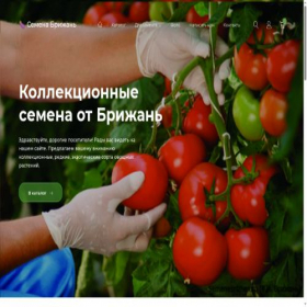 Скриншот главной страницы сайта semenabrizhan.ru