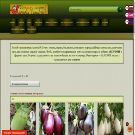 Скриншот главной страницы сайта semenatomatov.com