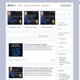 Скриншот главной страницы сайта seo-in.top