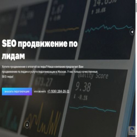 Скриншот главной страницы сайта seo-lead.ru