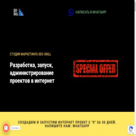 Скриншот главной страницы сайта seo-skill.com