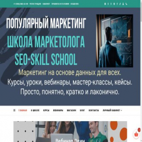 Скриншот главной страницы сайта seo-skill.ru