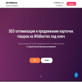 Скриншот главной страницы сайта seo-wildberries.ru
