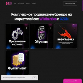 Скриншот главной страницы сайта seoforwb.com