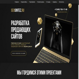 Скриншот главной страницы сайта seosintez.ru