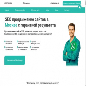 Скриншот главной страницы сайта seotum.ru
