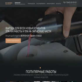 Скриншот главной страницы сайта service-borishof-exeed.ru