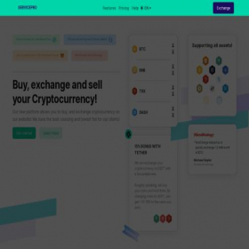 Скриншот главной страницы сайта service-pro.com.ru