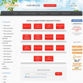 Скриншот главной страницы сайта service.best-sad.ru