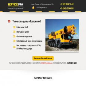 Скриншот главной страницы сайта service59.pro