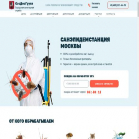 Скриншот главной страницы сайта ses-des-group.ru