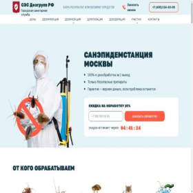 Скриншот главной страницы сайта ses-desgroup-rf.ru