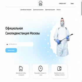Скриншот главной страницы сайта ses-dezprofi.ru