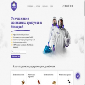 Скриншот главной страницы сайта ses-expert.ru