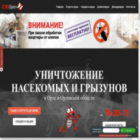 Скриншот главной страницы сайта ses-orel.ru