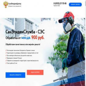 Скриншот главной страницы сайта ses21.ru