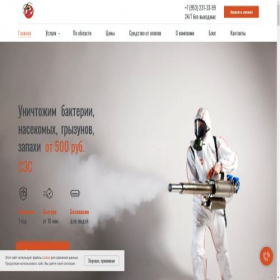 Скриншот главной страницы сайта ses60.ru