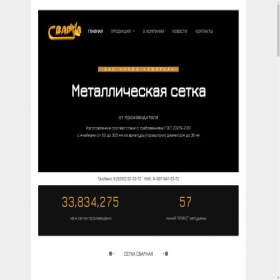 Скриншот главной страницы сайта setka21.ru