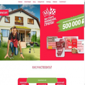 Скриншот главной страницы сайта sezongrill.ru