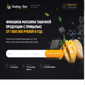 Скриншот главной страницы сайта sh-franchise.ru