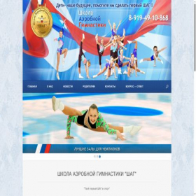 Скриншот главной страницы сайта shagperm.ru