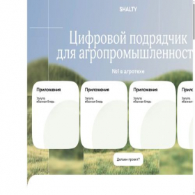 Скриншот главной страницы сайта shalty.ru