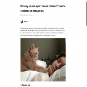 Скриншот главной страницы сайта shawati.ru