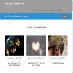 Скриншот главной страницы сайта shcolavolshebnicov.ru
