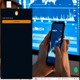 Скриншот главной страницы сайта shelltrade.net
