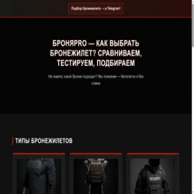 Скриншот главной страницы сайта shieldpro.site