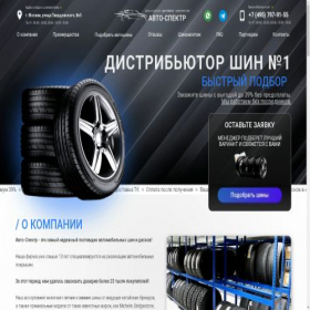 Скриншот главной страницы сайта shin-grad.ru