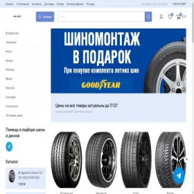 Скриншот главной страницы сайта shinafirst.ru