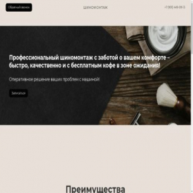 Скриншот главной страницы сайта shinamont.ru
