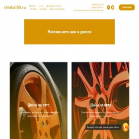 Скриншот главной страницы сайта shinka100.ru