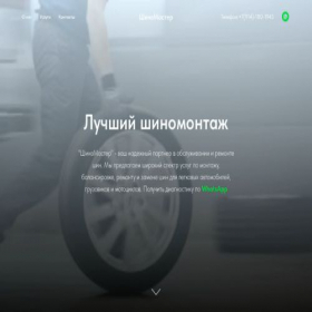 Скриншот главной страницы сайта shinomastersto.ru