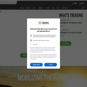 Скриншот главной страницы сайта shinservice-shop.ru