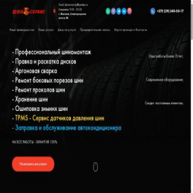 Скриншот главной страницы сайта shinservice.by