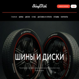 Скриншот главной страницы сайта shinyanddiski.ru