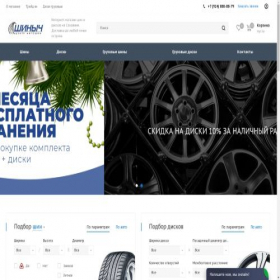 Скриншот главной страницы сайта shinych.ru