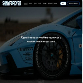 Скриншот главной страницы сайта shinyforever.ru