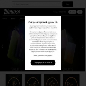 Скриншот главной страницы сайта shishkamarket.com