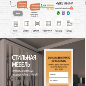 Скриншот главной страницы сайта shkafi-novocibirsk.ru
